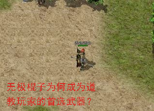 无极棍子为何成为道教玩家的首选武器? 无极棍子为何成为道教玩家的首选武器?