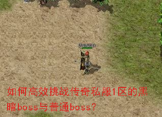 如何高效挑战传奇私服1区的黑暗boss与普通boss? 如何高效挑战传奇私服1区的黑暗boss与普通boss?