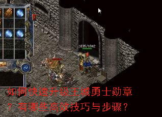 如何快速升级王城勇士勋章?有哪些高效技巧与步骤? 如何快速升级王城勇士勋章?有哪些高效技巧与步骤?