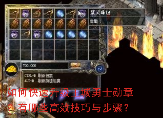 如何快速升级王城勇士勋章?有哪些高效技巧与步骤? 如何快速升级王城勇士勋章?有哪些高效技巧与步骤?