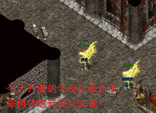 今天开服的传奇私服新手如何快速升级打装备? 今天开服的传奇私服新手如何快速升级打装备?