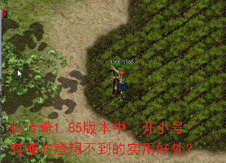 在传奇1.85版本中,开小号有哪些意想不到的实用好处? 在传奇1.85版本中,开小号有哪些意想不到的实用好处?
