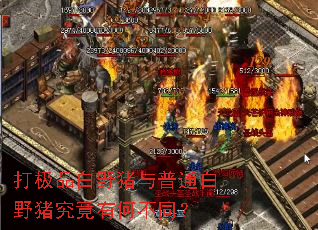 ��Ʒ��Ұ������ͨ��Ұ�������кβ�ͬ��