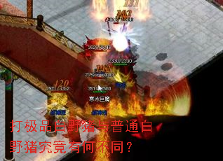 ��Ʒ��Ұ������ͨ��Ұ�������кβ�ͬ��