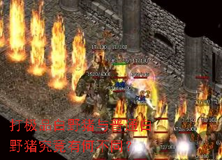 ��Ʒ��Ұ������ͨ��Ұ�������кβ�ͬ��
