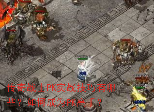 ����սʿPKʵս��������Щ����γ�ΪPK���֣�