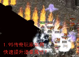 1.95传奇玩家如何快速提升酒量属性? 1.95传奇玩家如何快速提升酒量属性?