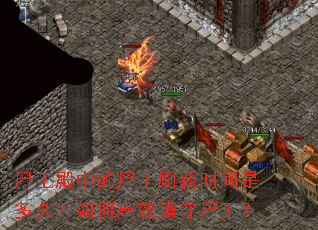 尸王殿中的尸王刷新时间是多久?如何高效蹲守尸王? 尸王殿中的尸王刷新时间是多久?如何高效蹲守尸王?