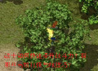 战士如何快速提升战斗力?有哪些高效打怪与PK技巧? 战士如何快速提升战斗力?有哪些高效打怪与PK技巧?