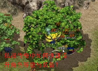 私服传奇中如何快速提升角色等级与装备? 私服传奇中如何快速提升角色等级与装备?