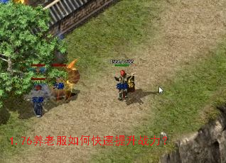 1.76养老服如何快速提升战力? 1.76养老服如何快速提升战力?