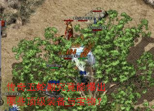 传奇五蛇殿究竟能爆出哪些顶级装备与宝物? 传奇五蛇殿究竟能爆出哪些顶级装备与宝物?