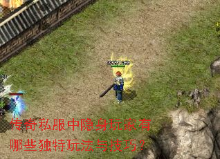 传奇私服中隐身玩家有哪些独特玩法与技巧? 传奇私服中隐身玩家有哪些独特玩法与技巧?