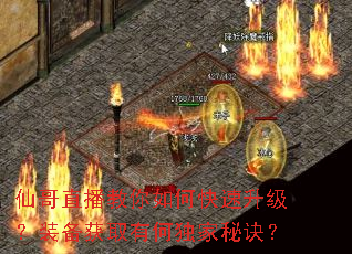 仙哥直播教你如何快速升级?装备获取有何独家秘诀? 仙哥直播教你如何快速升级?装备获取有何独家秘诀?