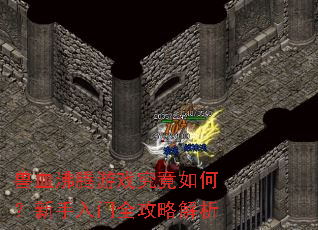 兽血沸腾游戏究竟如何?新手入门全攻略解析 兽血沸腾游戏究竟如何?新手入门全攻略解析