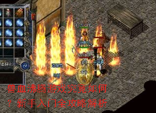 兽血沸腾游戏究竟如何?新手入门全攻略解析 兽血沸腾游戏究竟如何?新手入门全攻略解析