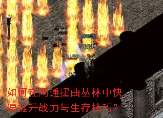 �������ͨŤ�������п�������ս�������漼�ɣ�
