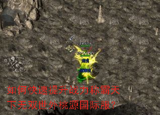 如何快速提升战力称霸天下无双世外桃源国际服? 如何快速提升战力称霸天下无双世外桃源国际服?