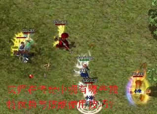 法师在传奇中拥有哪些独特优势与技能使用技巧? 法师在传奇中拥有哪些独特优势与技能使用技巧?