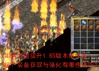 如何快速提升1.85版本角色等级?装备获取与强化有哪些技巧? 如何快速提升1.85版本角色等级?装备获取与强化有哪些技巧?