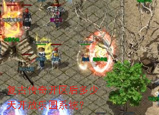 复古传奇开区后多少天开放乐园系统? 复古传奇开区后多少天开放乐园系统?