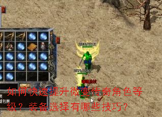 如何快速提升微变传奇角色等级?装备选择有哪些技巧? 如何快速提升微变传奇角色等级?装备选择有哪些技巧?
