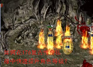 如何在176复古传奇私服中快速提升角色等级? 如何在176复古传奇私服中快速提升角色等级?