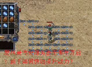 爱丝曼传奇服务器于哪年开启?新手如何快速提升战力? 爱丝曼传奇服务器于哪年开启?新手如何快速提升战力?