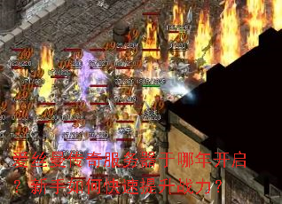 爱丝曼传奇服务器于哪年开启?新手如何快速提升战力? 爱丝曼传奇服务器于哪年开启?新手如何快速提升战力?