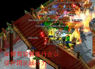 如何有效管理行会以提升团队战斗力? 如何有效管理行会以提升团队战斗力?