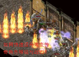 如何快速提升微变传奇角色等级与战力? 如何快速提升微变传奇角色等级与战力?